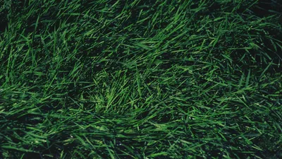 General 1920x1080 Abstract Abstract Wallpaper 4K 1920x1080 Wallpaper, General, 1920x1080, Brown, Ultrawide, Full HD