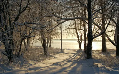 Radiant Nature Wallpaper Nature Wallpaper 4K 1920x1200 Nature, Winter, Hd, Desktop, Wallpaper, Background, Image, Gray, White, Ultrawide, Full HD
