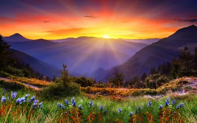 Epic Sunset Wallpaper Nature Wallpaper 4K 2560x1600 A, Stunning, Sunset, Over, Mountains, With, Vibrant, Colors, Bathing, Landscape, Warmth, Lush, Yellow, Gray, Ultrawide, QHD