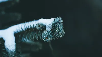 General 1920x1080 Abstract Abstract Wallpaper 4K 1920x1080 Wallpaper, General, 1920x1080, White, Ultrawide, Full HD