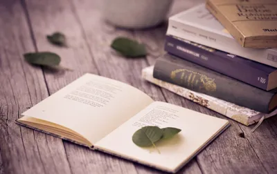 Sleek Open Wallpaper Abstract Wallpaper 4K 2048x1290 An, Open, Book, With, A, Green, Leaf, Rests, Wooden, Surface, Surrounded, Stacked, White, Ultrawide, Full HD
