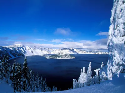 Serene Winter Landscape Snow Nature Wallpaper 4K 1600x1200 Hd, Pc, Desktop, Wallpaper, Showcasing, A, Serene, Winter, Landscape, Snow-covered, Trees, Framing, Red