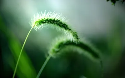Dreamy General Wallpaper Abstract Wallpaper 4K 2560x1600 Wallpaper, General, 2560x1600, Gray, Ultrawide, QHD