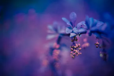 Serene General Wallpaper Abstract Wallpaper 4K 1600x1066 Wallpaper, General, 1600x1066, Brown, Ultrawide