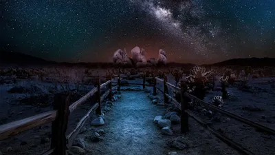 Serene Winds Joshua Tree National Nature Wallpaper 4K 2048x1153 A, Serene, Path, Winds, Through, Joshua, Tree, National, Park, Illuminated, Under, Stunning, Brown, Gray, Ultrawide, Full HD
