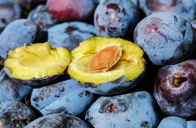 Close Fresh Plums One Halved Abstract Wallpaper 4K 4896x3215 Close-up, Of, Fresh, Plums, Featuring, One, Halved, With, Pit, Visible, Captured, Sharp, Gray, Ultrawide, 4k