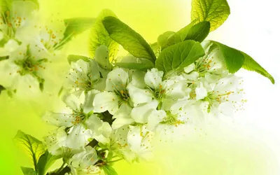 Serene General Wallpaper Abstract Wallpaper 4K 2560x1600 Wallpaper, General, 2560x1600, White, Pink, Ultrawide, QHD