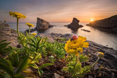 Bright General Wallpaper Abstract Wallpaper 4K 1920x1280 Wallpaper, General, 1920x1280, Gray, Landscape, Full HD