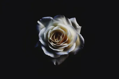 General 5456x3632 Abstract Abstract Wallpaper 4K 5456x3632 Wallpaper, General, 5456x3632, Gray, Ultrawide, 4k