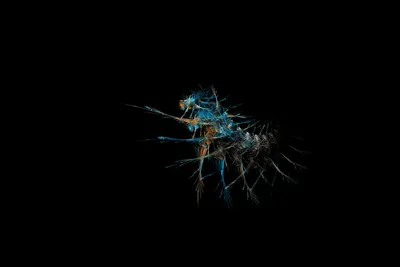 Epic General Wallpaper Abstract Wallpaper 4K 6000x4000 Wallpaper, General, 6000x4000, Landscape, 4k