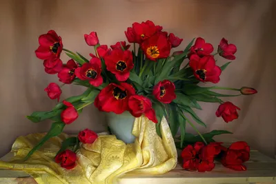 Bold Still Wallpaper Abstract Wallpaper 4K 2688x1792 Hd, Still, Life, Photography, Of, Vibrant, Red, Tulips, Arranged, Vase, Yellow, Scarf, Brown, Gray, Landscape, QHD