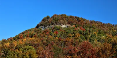 Dark Vibrant Wallpaper Nature Wallpaper 4K 6719x3383 A, Vibrant, Fall, Foliage-covered, Hillside, Under, Clear, Blue, Sky, Captured, Stunning, Ultra, Green, Pink, Ultrawide, 4k