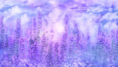 Dark Delicate Wallpaper Nature Wallpaper 4K 1920x1097 A, Delicate, Butterfly, Rests, On, Vibrant, Purple, Flowers, Amid, Dreamy, Soft-focus, Nature, White, Ultrawide, Full HD