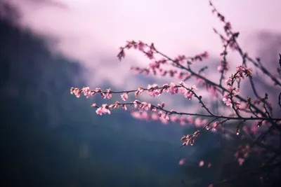 Dreamy General Wallpaper Abstract Wallpaper 4K 6000x4000 Wallpaper, General, 6000x4000, White, Landscape, 4k