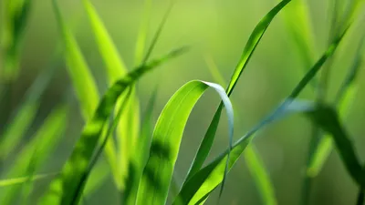 Vibrant General Wallpaper Abstract Wallpaper 4K 1920x1080 Wallpaper, General, 1920x1080, Gray, Pink, Ultrawide, Full HD
