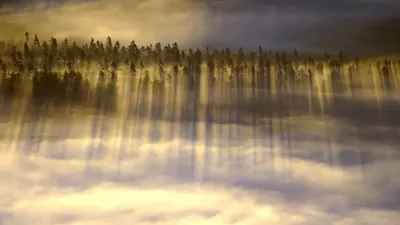 Serene Landscape Tall Trees Nature Wallpaper 4K 1920x1080 A, Serene, Landscape, Featuring, Tall, Trees, Reflected, In, Misty, Clouds, Under, Soft, White, Ultrawide, Full HD