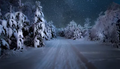 Dreamy Snow Wallpaper Nature Wallpaper 4K 2048x1174 Snow-covered, Trees, Line, A, Quiet, Path, Beneath, Starry, Winter, Night, Sky, Creating, Gray, Brown, Ultrawide, Full HD