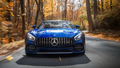 Front Blue Amg Autumn Nature Wallpaper 4K 4096x2304 Front, View, Of, A, Blue, Mercedes-amg, Gt, C, Driving, Through, Autumn, Forest, Gray, White, Ultrawide, 4k