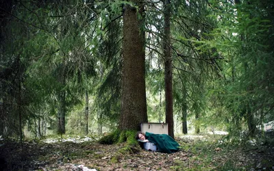 Woman Rests Forest Floor Nature Wallpaper 4K 1920x1200 A, Woman, Rests, On, The, Forest, Floor, Nestled, Against, Massive, Tree, Trunk, Brown, Gray, Ultrawide, Full HD