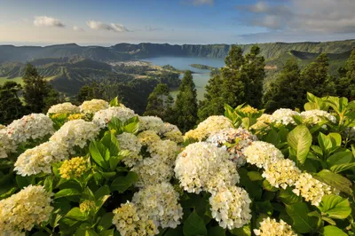 Landscape Azores Portugal Nature Wallpaper 4K 2048x1365 A, Stunning, Landscape, Of, The, Azores, Portugal, Featuring, Vibrant, White, Flowers, Foreground, Gray, Ultrawide, Full HD