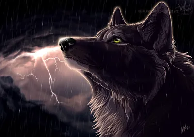 Majestic Black Wolf Stands Animals Wallpaper 4K 1868x1320 A, Majestic, Black, Wolf, Stands, Against, Stormy, Backdrop, Illuminated, Flashes, Lightning, Capturing, White, Gray, Landscape
