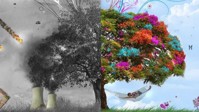 Abstract Contrasting Vibrant Colorful Nature Wallpaper 4K 1920x1080 Abstract, Hd, Pc, Desktop, Wallpaper, Contrasting, A, Vibrant, Colorful, Tree, Flowers, Against, Gray, Ultrawide, Full HD