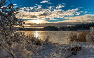 Capturing Serene Winter Landscape Snow Nature Wallpaper 4K 2560x1600 Hd, Pc, Desktop, Wallpaper, Capturing, A, Serene, Winter, Landscape, Snow-covered, Trees, Calm, Brown, Gray, Ultrawide, QHD