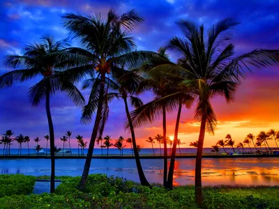 Vibrant Tropical Sunset Nature Wallpaper 4K 1600x1200 Hd, Pc, Desktop, Wallpaper, Featuring, A, Vibrant, Tropical, Sunset, Silhouetted, Palm, Trees, Red, Orange, Landscape