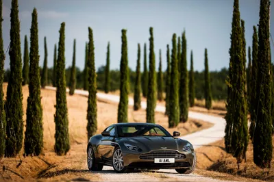 Sleek Aston Martin Db11 Nature Wallpaper 4K 4096x2731 A, Sleek, Aston, Martin, Db11, Grand, Tourer, Parked, Winding, Road, Lined, Tall, Gray, Landscape, 4k