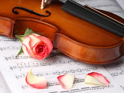 Beautifully Crafted Violin Rests Abstract Wallpaper 4K 1600x1200 A, Beautifully, Crafted, Violin, Rests, On, Sheet, Music, Complemented, Delicate, Rose, Scattered, White, Landscape