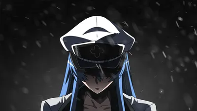 Esdeath Akame Kill Her Military Black/Dark Wallpaper 4K 1920x1080 Hd, Desktop, Wallpaper, Featuring, Esdeath, From, Akame, Ga!, Kill, Her, Military, Uniform, White, Ultrawide, Full HD