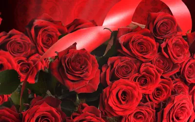 Golden Quad Wallpaper Nature Wallpaper 4K 2560x1600 2k, Quad, Hd, Pc, Desktop, Wallpaper, Background, Close-up, Vibrant, Red, Roses, Green, Ultrawide, QHD