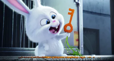 Playful White Rabbit Holds Key Cars Wallpaper 4K 3600x1946 A, Playful, White, Rabbit, Holds, Key, And, Munches, Carrots, Vibrant, Secret, Life, Gray, Ultrawide, QHD