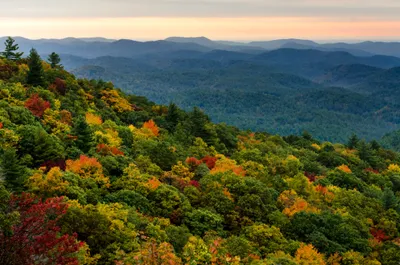 Vibrant Fall Forest Nature Wallpaper 4K 2048x1357 Hd, Desktop, Wallpaper, Showing, A, Vibrant, Fall, Forest, Colorful, Foliage, Stretching, Over, Gray, Ultrawide, Full HD