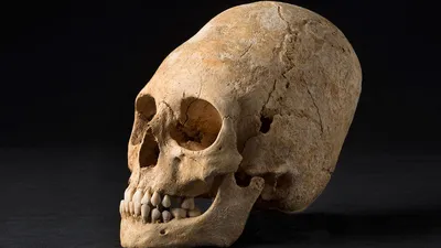 Dark Elongated Skull Black/Dark Wallpaper 4K 1920x1080 Dark, Hd, Pc, Desktop, Wallpaper, Showing, An, Elongated, Skull, Resting, Black, Gray, White, Ultrawide, Full HD