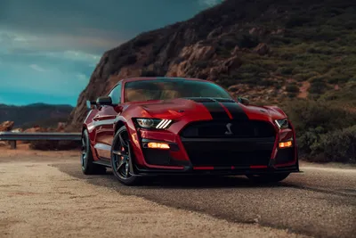 Red Mustang Shelby Cars Wallpaper 4K 7952x5304 A, Red, Ford, Mustang, Shelby, Gt500, Muscle, Car, Black, Racing, Stripes, Parked, Gray, Landscape, 4k