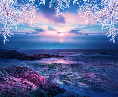Serene Ocean Sunset Vibrant Nature Wallpaper 4K 1920x1579 A, Serene, Ocean, Scene, At, Sunset, Featuring, Vibrant, Pink, Purple, Hues, Reflecting, Gray, Square, Full HD