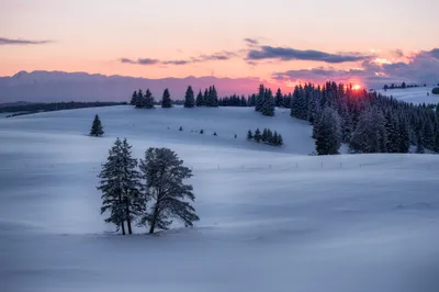 Sunrise Tree Landscape Snow Nature Nature Wallpaper 4K 2048x1367 Sunrise, Tree, Landscape, Snow, Nature, Winter, Hd, Desktop, Gray, White, Full HD