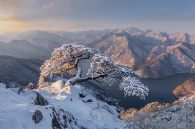 Sleek Snow Wallpaper Nature Wallpaper 4K 2000x1334 Snow-covered, Tree, On, A, Mountain, Overlooking, River, Mountainous, Landscape, Winter, South, Korea, Gray, Full HD
