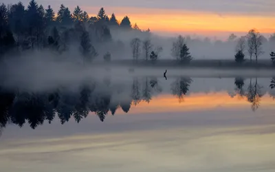 Misty Serene Wallpaper Nature Wallpaper 4K 2560x1600 A, Serene, Nature, Scene, Featuring, Misty, Lake, Reflecting, Silhouettes, Trees, Against, Vibrant, Gray, Ultrawide, QHD