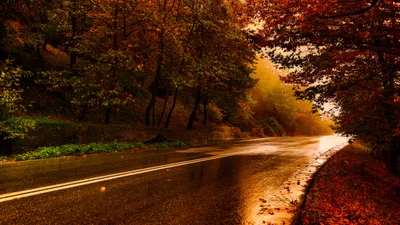 Golden Man Wallpaper Nature Wallpaper 4K 2048x1152 Hd, Desktop, Wallpaper, Of, A, Man-made, Road, Winding, Through, Vibrant, Fall, Forest, Brown, Orange, Ultrawide, Full HD
