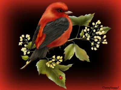 Vibrant Red Bird Perched Nature Wallpaper 4K 1333x1000 A, Vibrant, Red, Bird, Perched, On, Branch, Adorned, Green, Leaves, Small, Yellow, Brown, Landscape