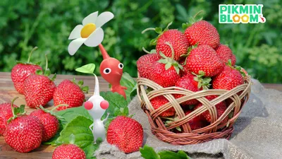 Sleek Pikmin Wallpaper Abstract Wallpaper 4K 1920x1080 Hd, Pc, Desktop, Wallpaper, Featuring, Pikmin, Characters, Surrounded, Fresh, Strawberries, Green, Foliage, Orange, Gray, Ultrawide, Full HD