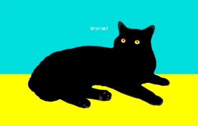 Serene Minimalist Wallpaper Minimal Wallpaper 4K 3668x2339 Minimalist, Vector, Illustration, Of, A, Black, Cat, With, Yellow, Eyes, Bright, Blue, Pink, Ultrawide, QHD