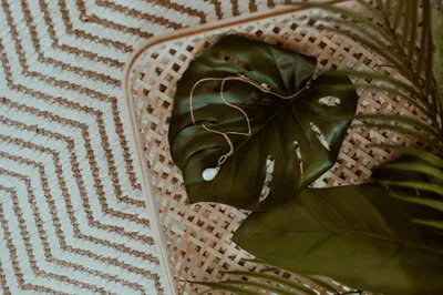 Necklace Monster Leaf Abstract Wallpaper 4K 4460x2974 Necklace, On, A, Monster, Leaf, Gray, Landscape, 4k