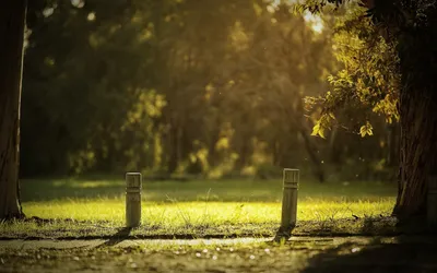 Serene Park Captures Sunlight Nature Wallpaper 4K 1920x1200 A, Serene, Park, Scene, Captures, Sunlight, Filtering, Through, Trees, Highlighting, Green, Grass, Brown, Gray, Ultrawide, Full HD