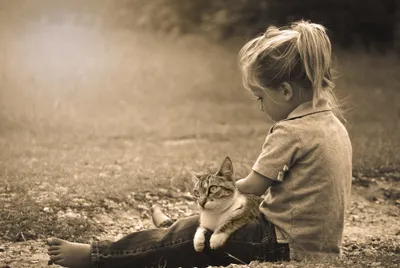 Radiant Sepia Wallpaper Animals Wallpaper 4K 2000x1342 A, Sepia-toned, Image, Of, Little, Girl, Sitting, Outdoors, Cat, Her, Lap, Capturing, Gray, Landscape, Full HD