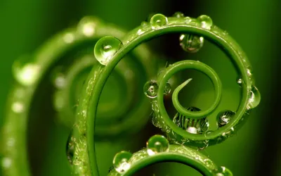 Nature Water Drop Nature Wallpaper 4K 1680x1050 Nature, Water, Drop, Hd, Desktop, Wallpaper, Background, Brown, Gray, Ultrawide