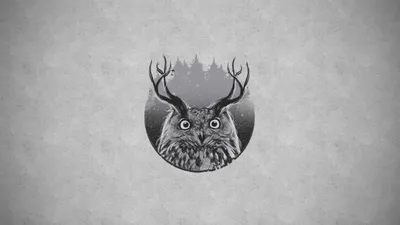 Artistic Depiction Owl Abstract Wallpaper 4K 2560x1440 Hd, Desktop, Wallpaper, Featuring, An, Artistic, Depiction, Of, Owl, Textured, Grey, Gray, Ultrawide, QHD
