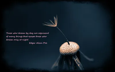 Misc Quote Abstract Abstract Wallpaper 4K 1680x1050 Misc, Quote, Hd, Desktop, Wallpaper, Background, Image, Gray, White, Ultrawide